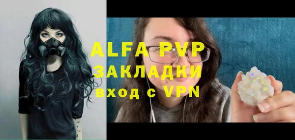 молекула духа Елизово