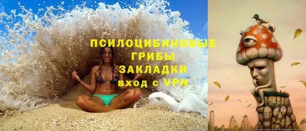 дмт Алексин