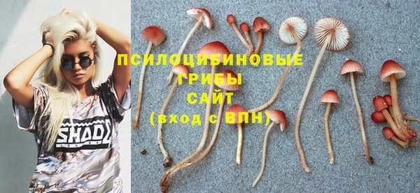дмт Алексин