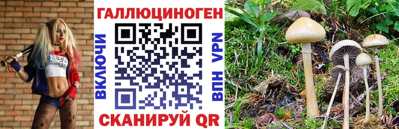 kraken   Приволжск  Псилоцибиновые грибы прущие грибы  где купить наркотик 